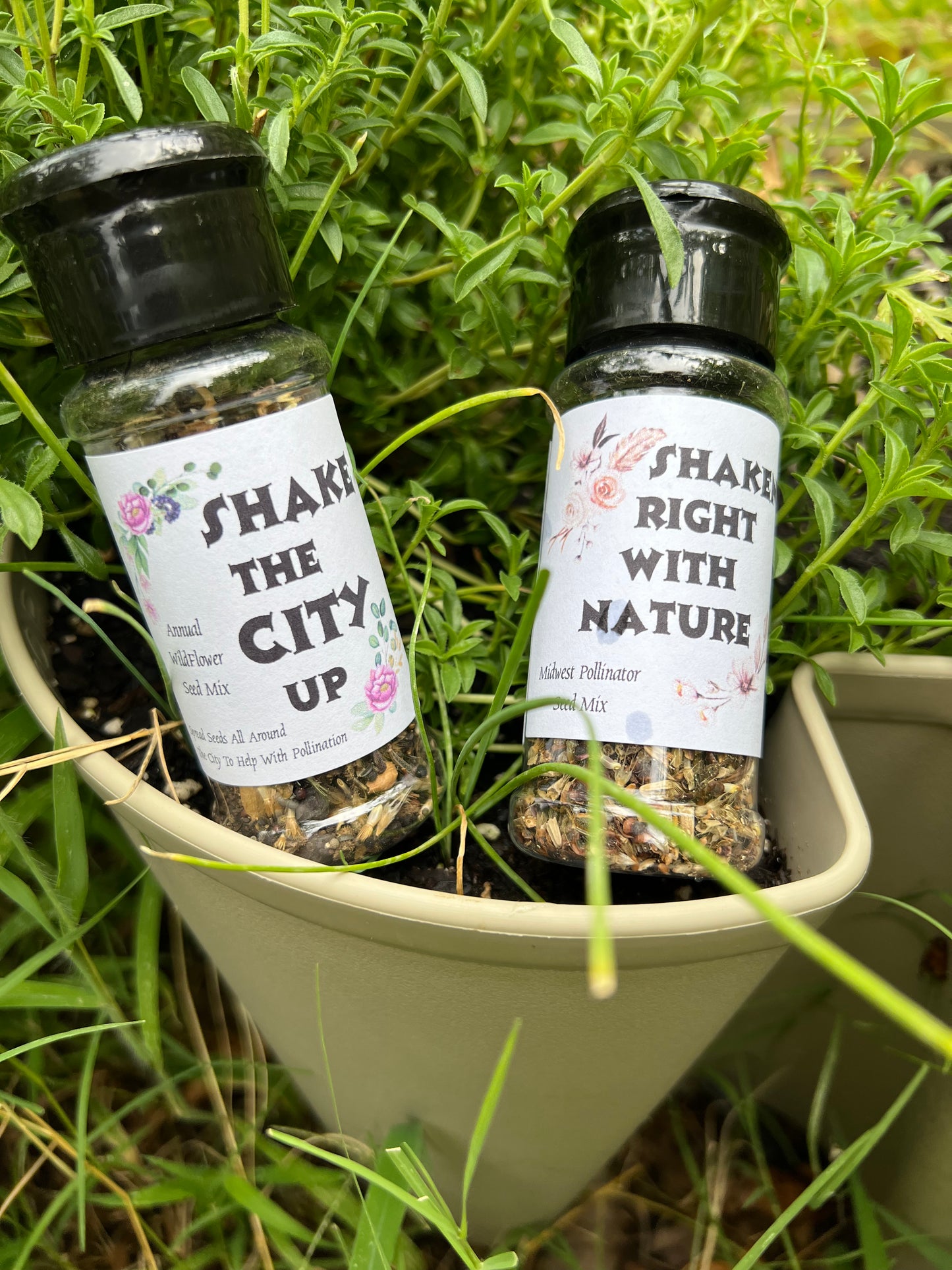 Shake The City Up All Annual Seed Mix